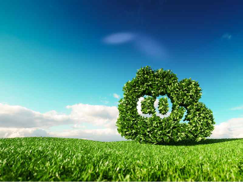 Sustainability Terms