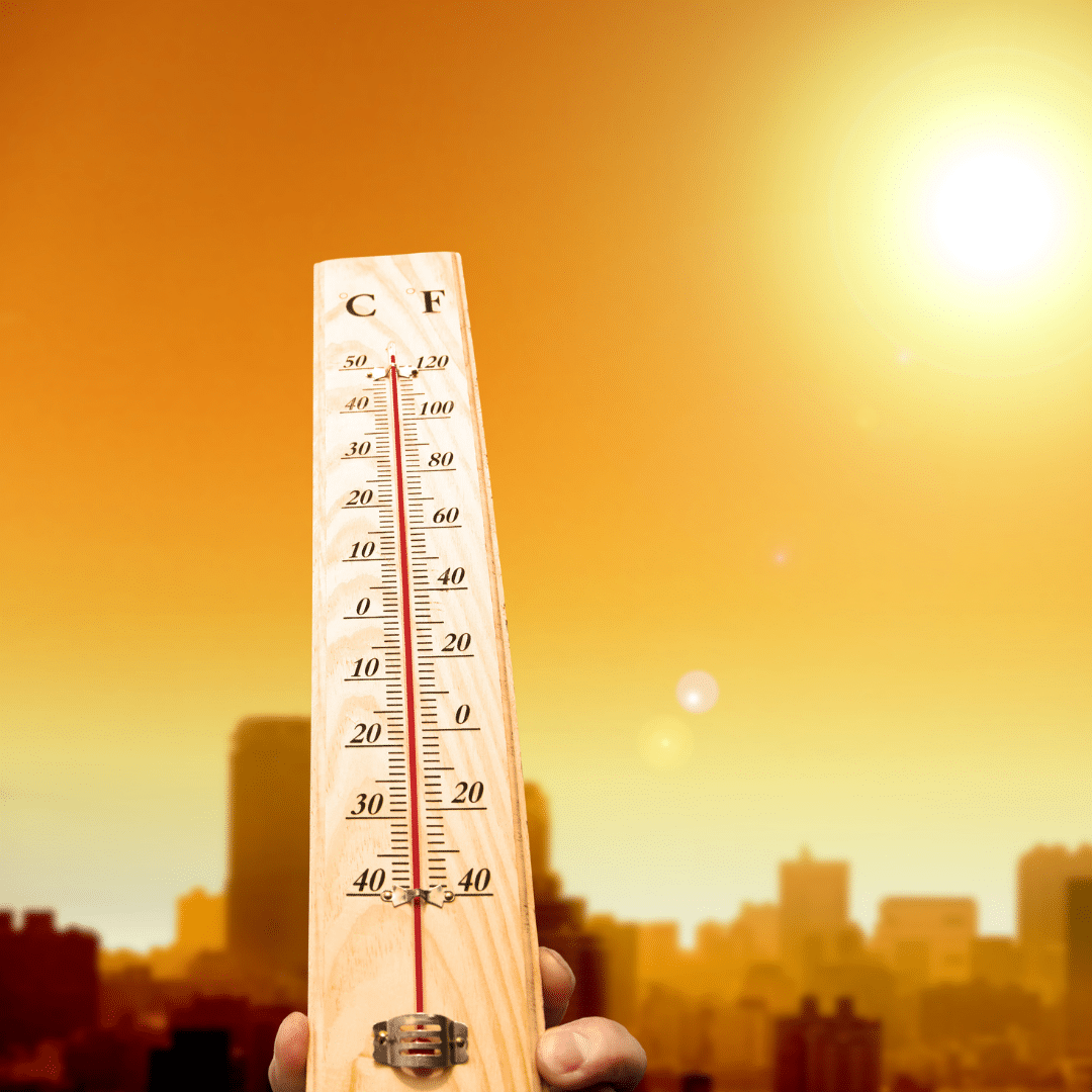 bushfire - heatwave